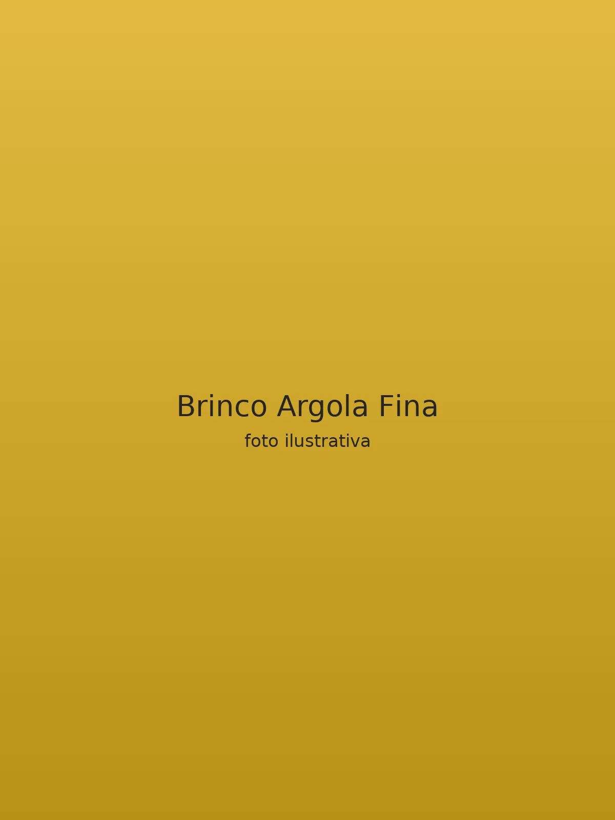 Brinco Argola Fina